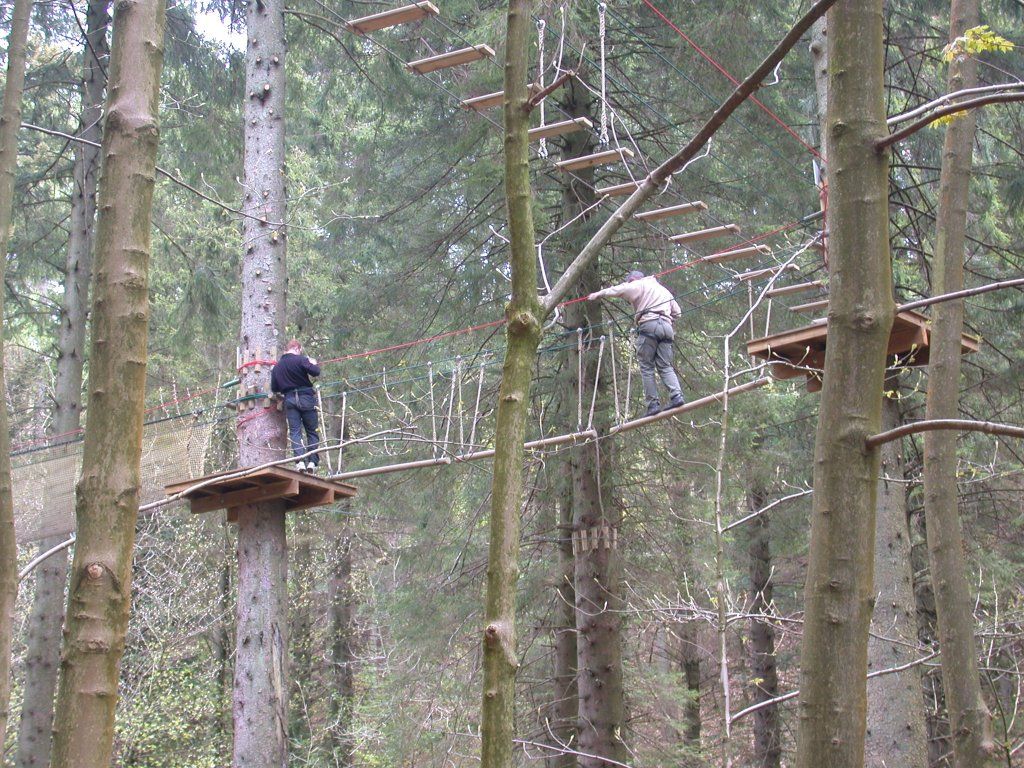 GoApe @ Grizedale Forest