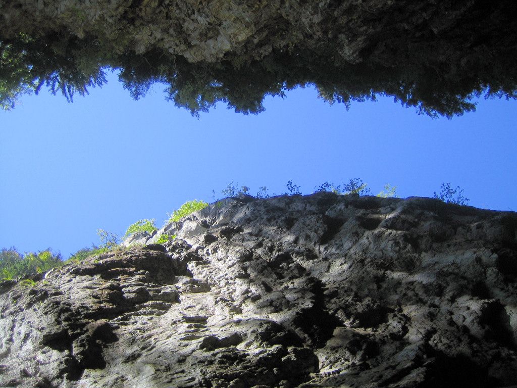 Les Gorges de la Diosaz (looking up)
